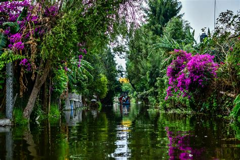 mexican floating gardens